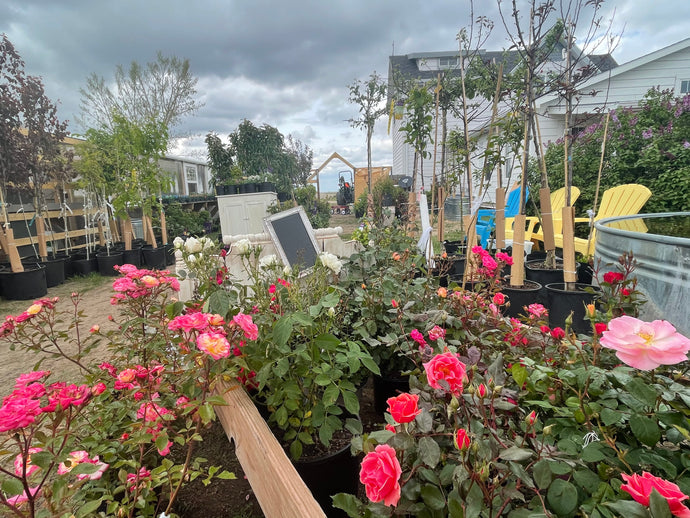 Garden Show Pictures